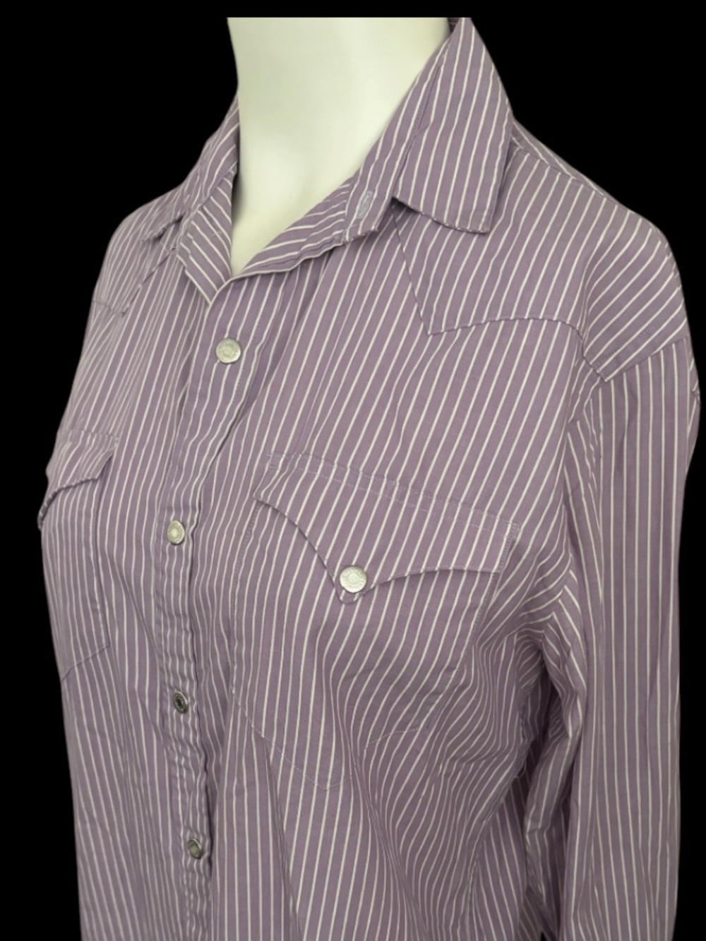 Vintage 90’s RALPH LAUREN Lavender Striped Western Shirt Sz 10 Snap Buttons